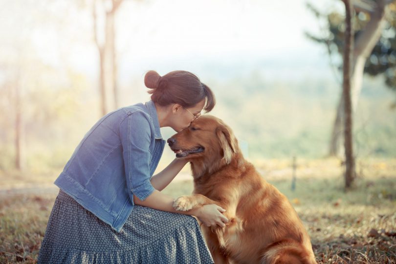 Aprenda a se comunicar e a curar Animais com o ThetaHealing®