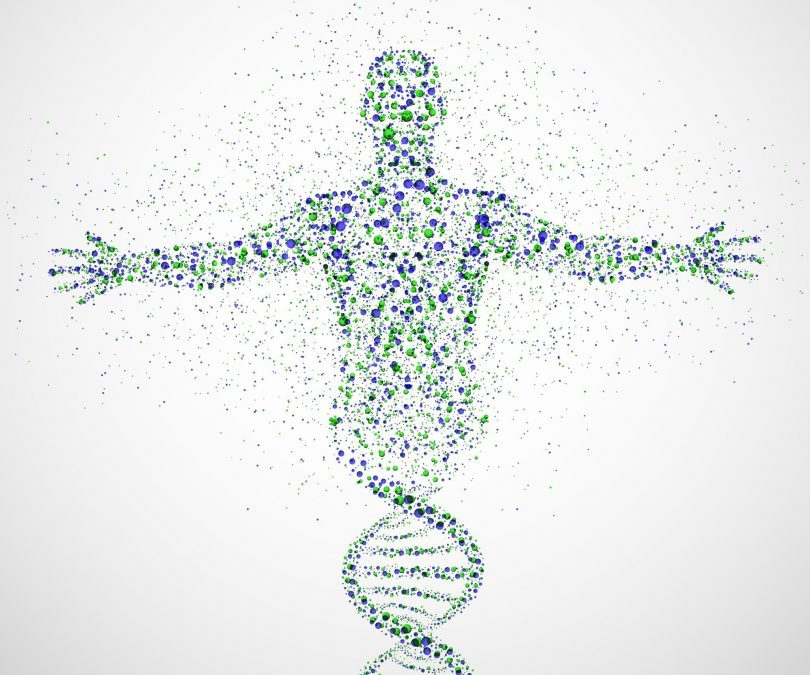 Reprogramar nossa Mente ajuda na Evolução Coletiva